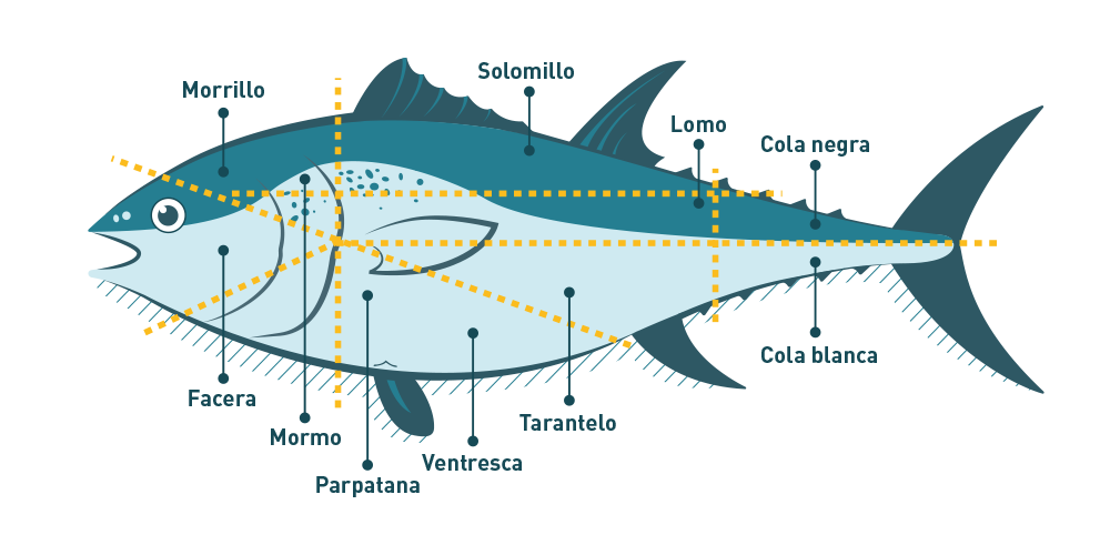 ronqueo del atún rojo