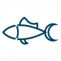 Logo el Campero